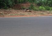 කතරගම දේවාසි හෝටලය ඉදිරිපිට ඉඩමක් විකිනීමට