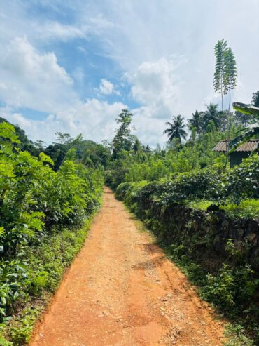 Tea Land for Sale Galle