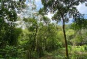 Land for Sale in Ingiriya