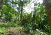 Land for Sale in Ingiriya