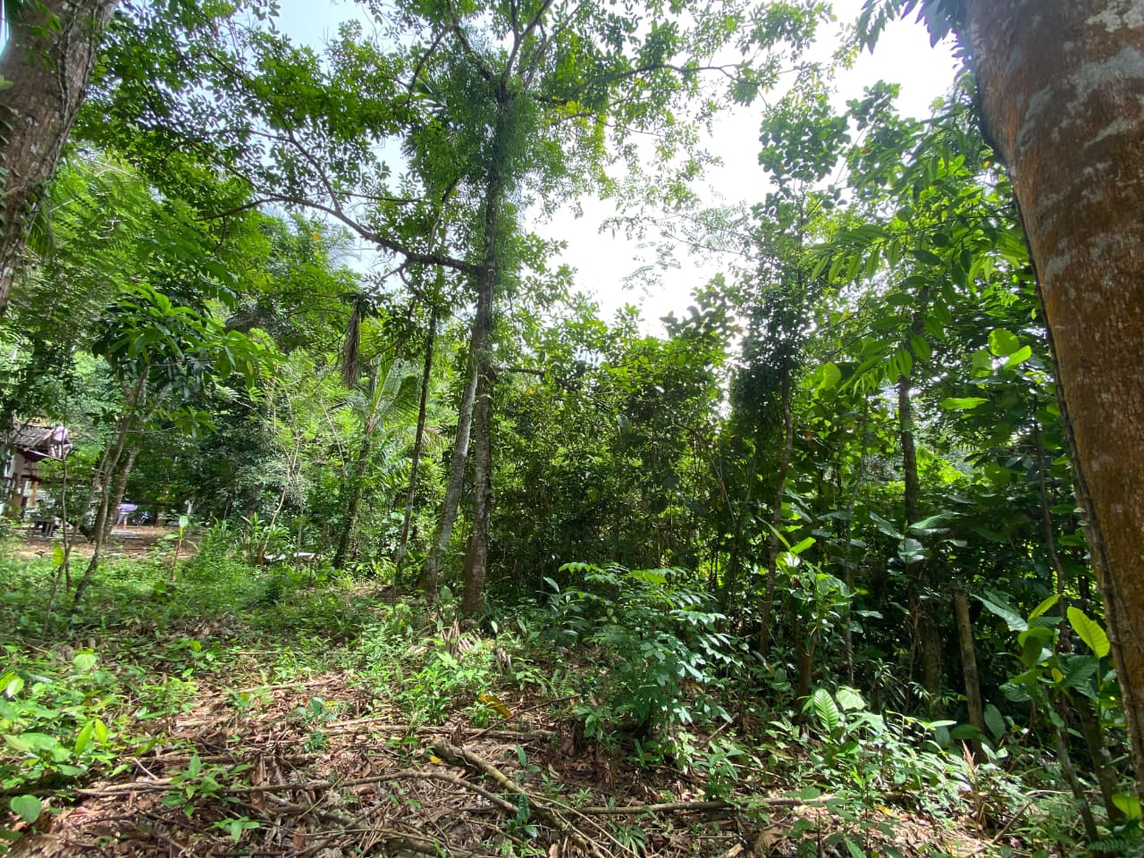 Land for Sale in Ingiriya