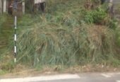 Land for Sale තලාතුඔය