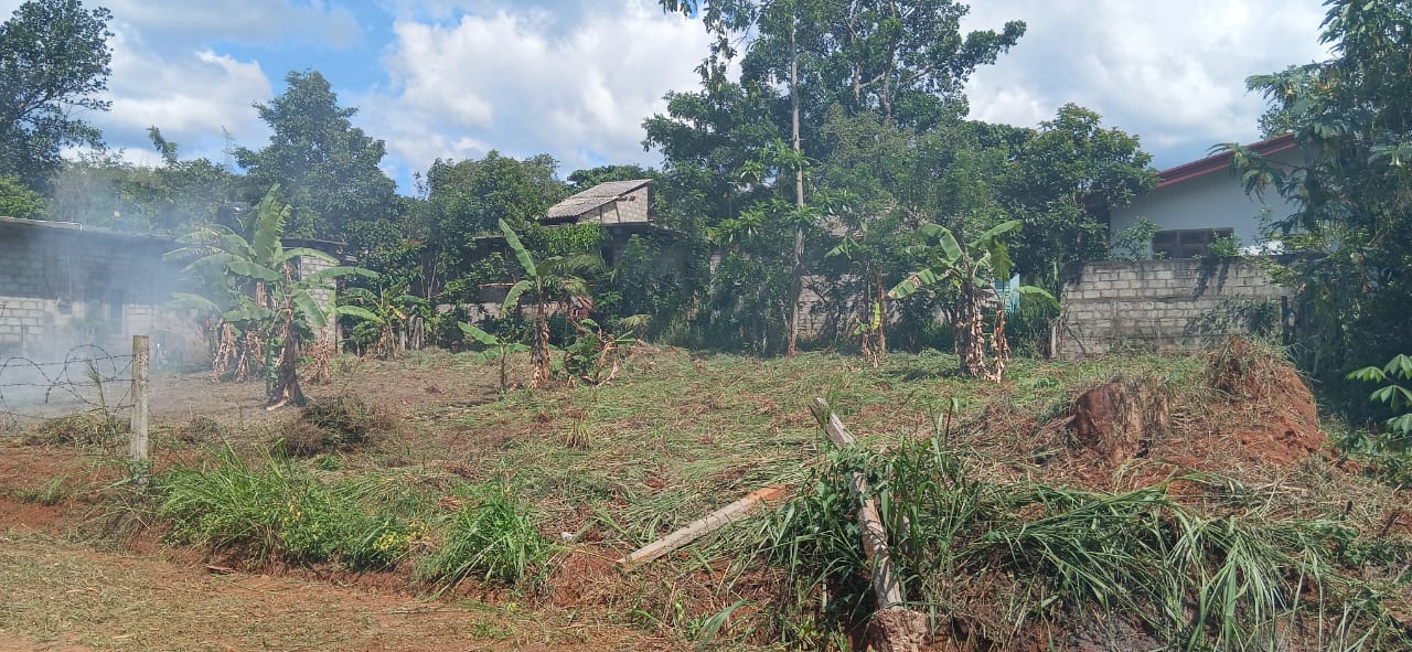 සුපිරි තැනිතලා ඉඩමක් , A9 පාර අසලින් පලාපත්වල මණ්දාකිනි