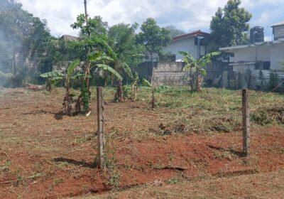 සුපිරි තැනිතලා ඉඩමක් , A9 පාර අසලින් පලාපත්වල මණ්දාකිනි