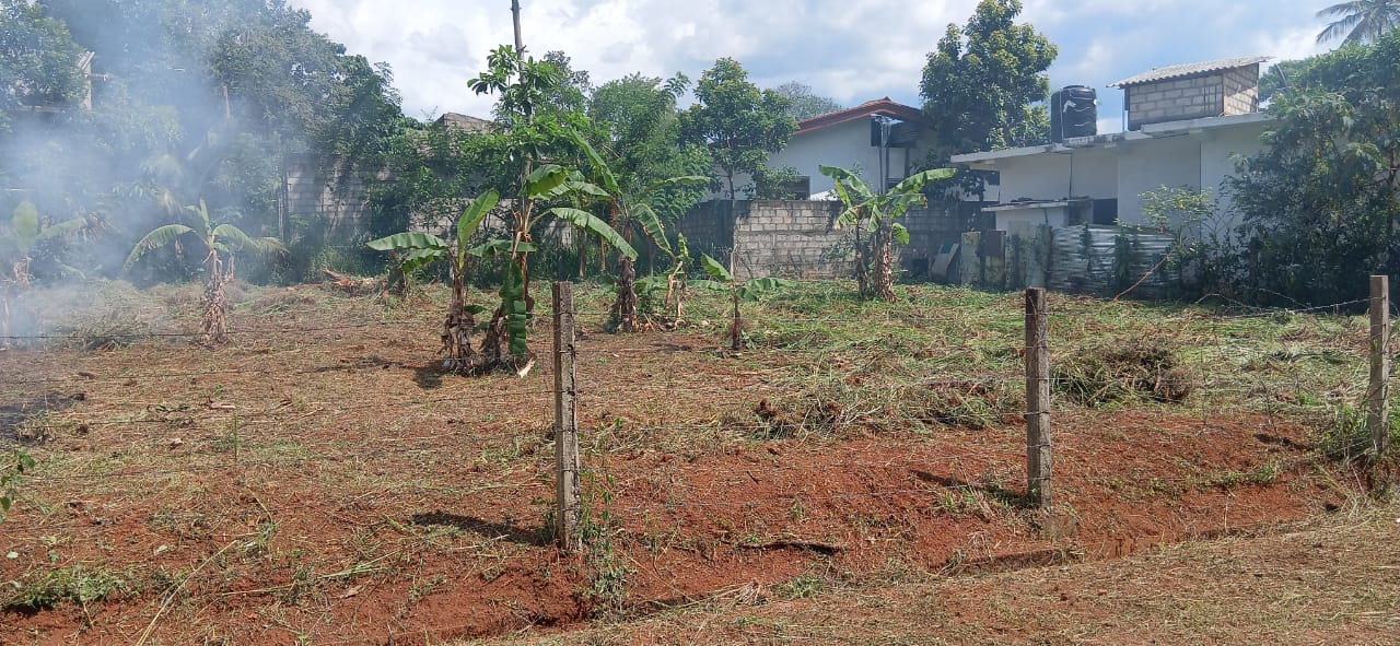 සුපිරි තැනිතලා ඉඩමක් , A9 පාර අසලින් පලාපත්වල මණ්දාකිනි