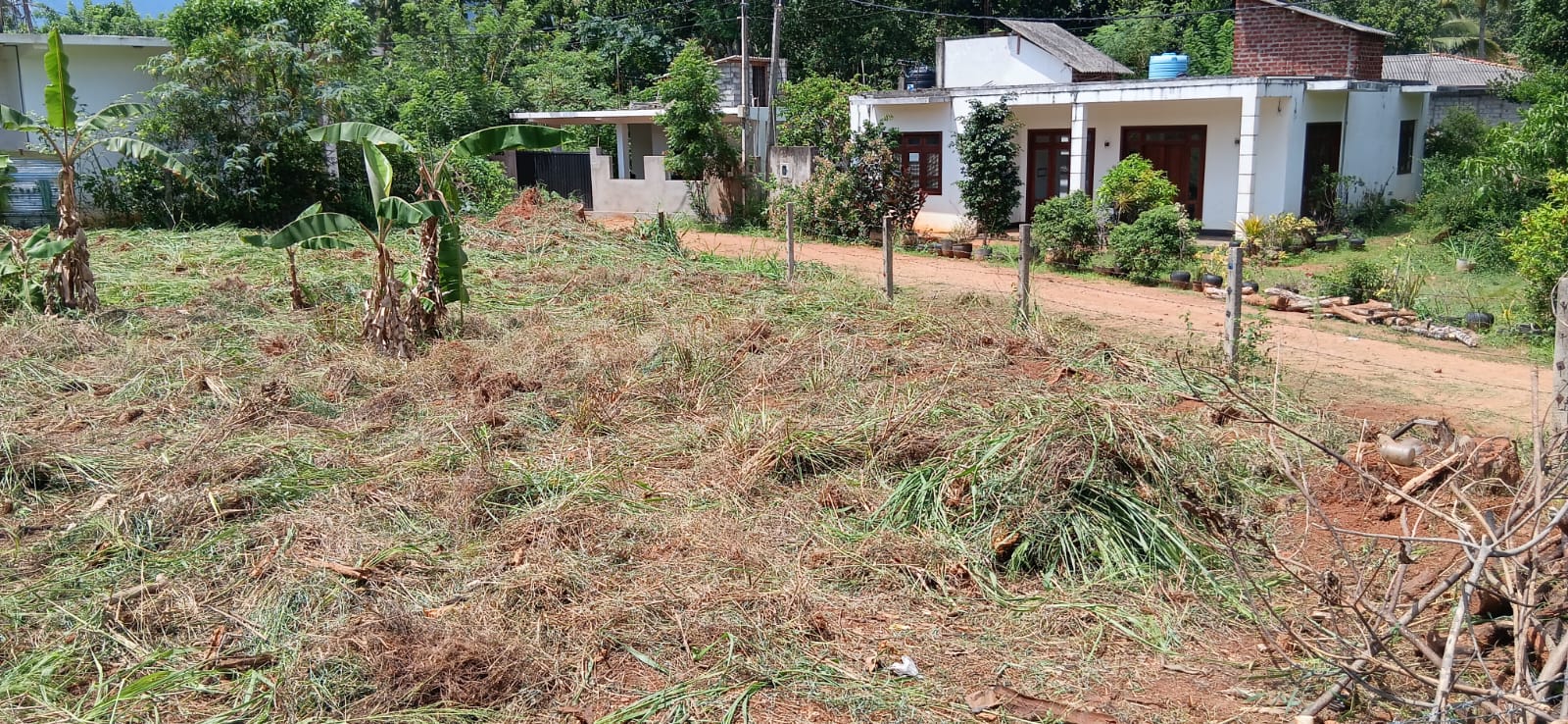 සුපිරි තැනිතලා ඉඩමක් , A9 පාර අසලින් පලාපත්වල මණ්දාකිනි