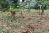 සුපිරි තැනිතලා ඉඩමක් , A9 පාර අසලින් පලාපත්වල මණ්දාකිනි