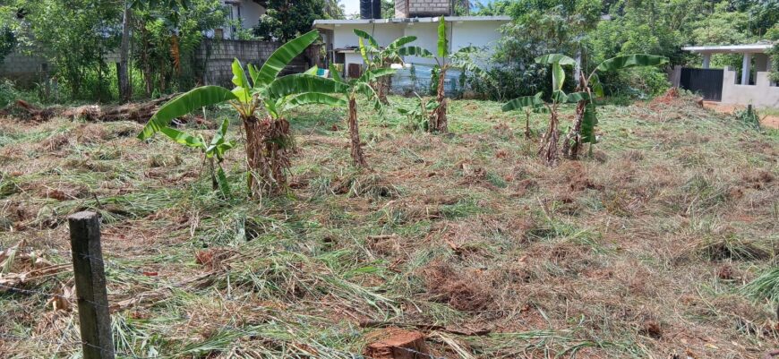 සුපිරි තැනිතලා ඉඩමක් , A9 පාර අසලින් පලාපත්වල මණ්දාකිනි