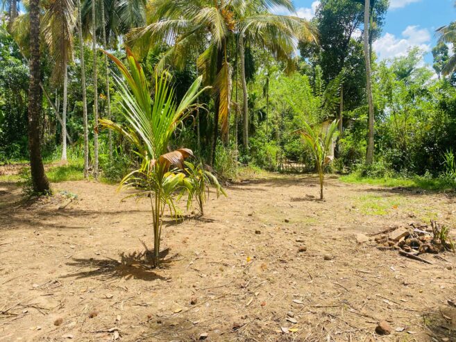 Land For Sale Bibile (Pothubandana)