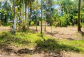 Land For Sale Bibile (Pothubandana)