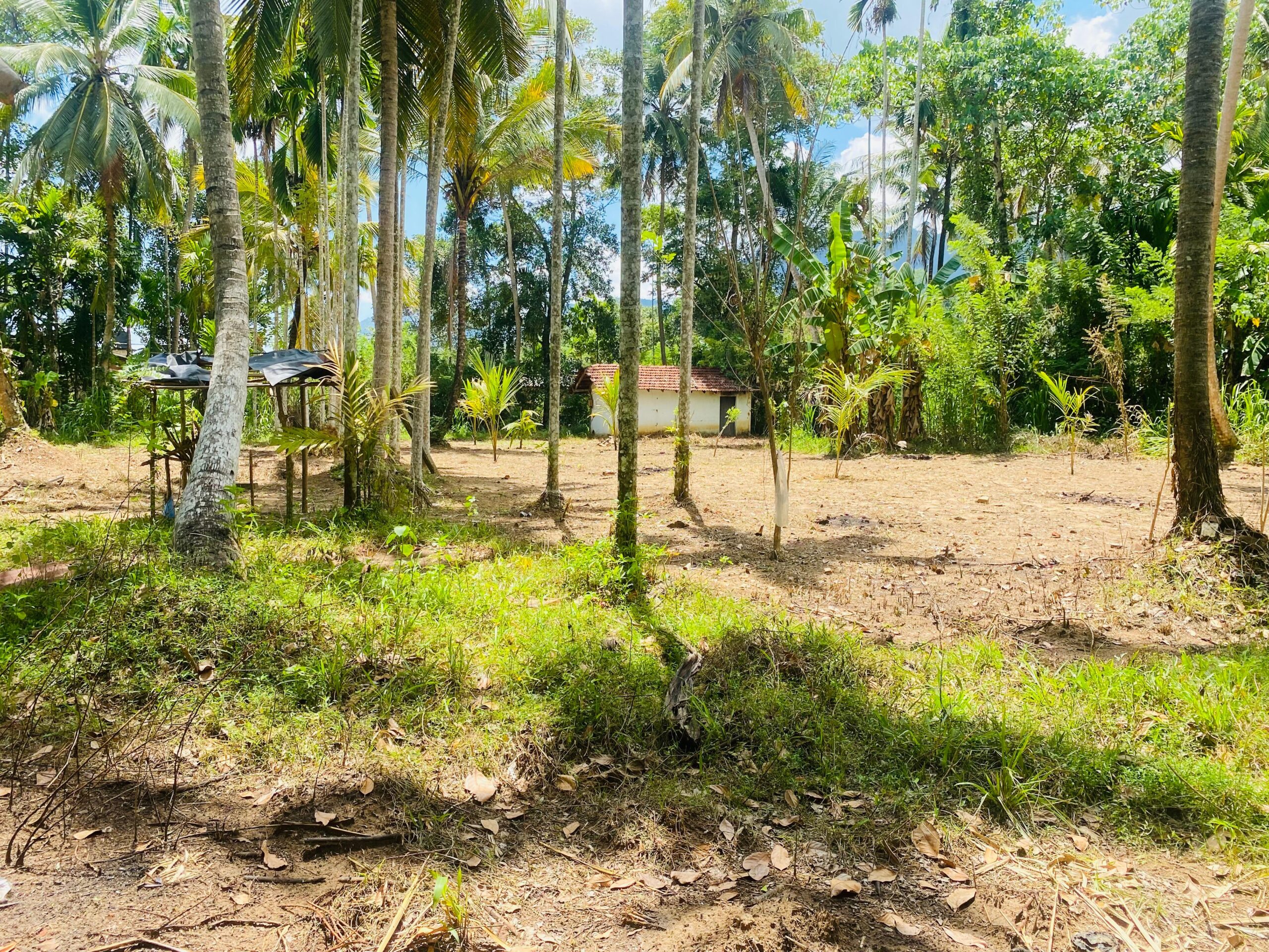 Land For Sale Bibile (Pothubandana)