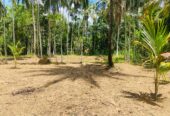 Land For Sale Bibile (Pothubandana)