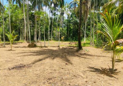 Land For Sale Bibile (Pothubandana)