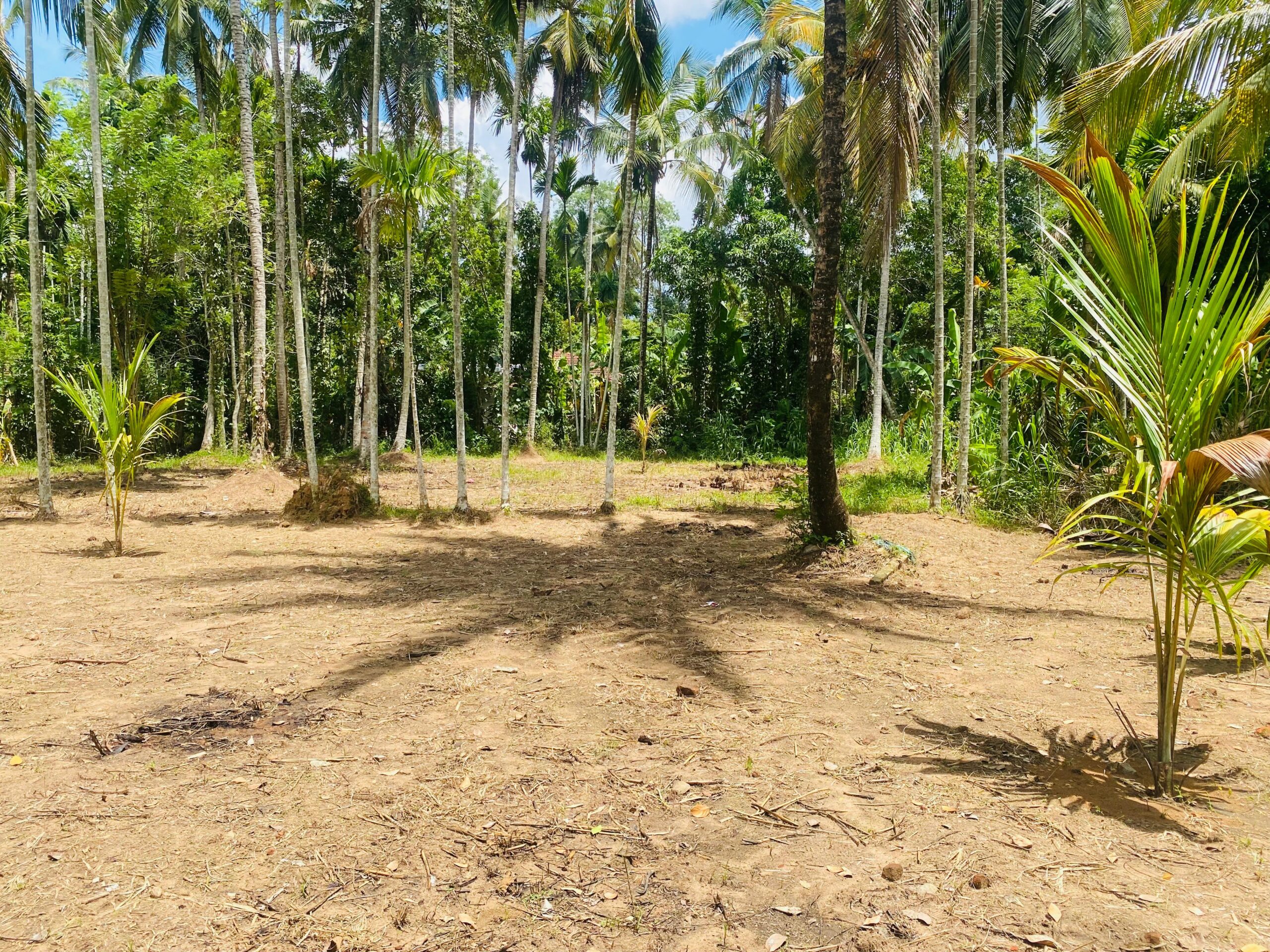 Land For Sale Bibile (Pothubandana)