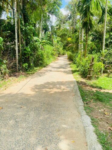 Land For Sale Bibile (Pothubandana)