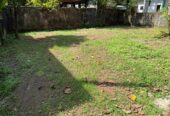 Valuable Land for Sale Kotte