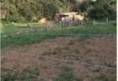 Beautiful Private Land for Sale in Kalutara