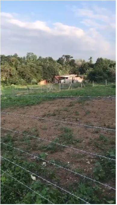 Beautiful Private Land for Sale in Kalutara