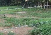 Beautiful Private Land for Sale in Kalutara