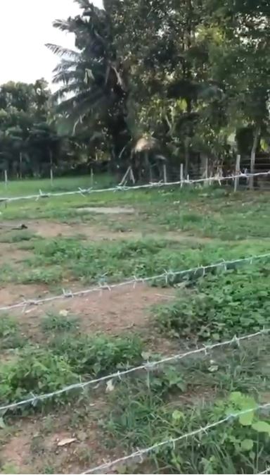 Beautiful Private Land for Sale in Kalutara