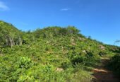 Scenic 8.5 Acre Land in Kiriella