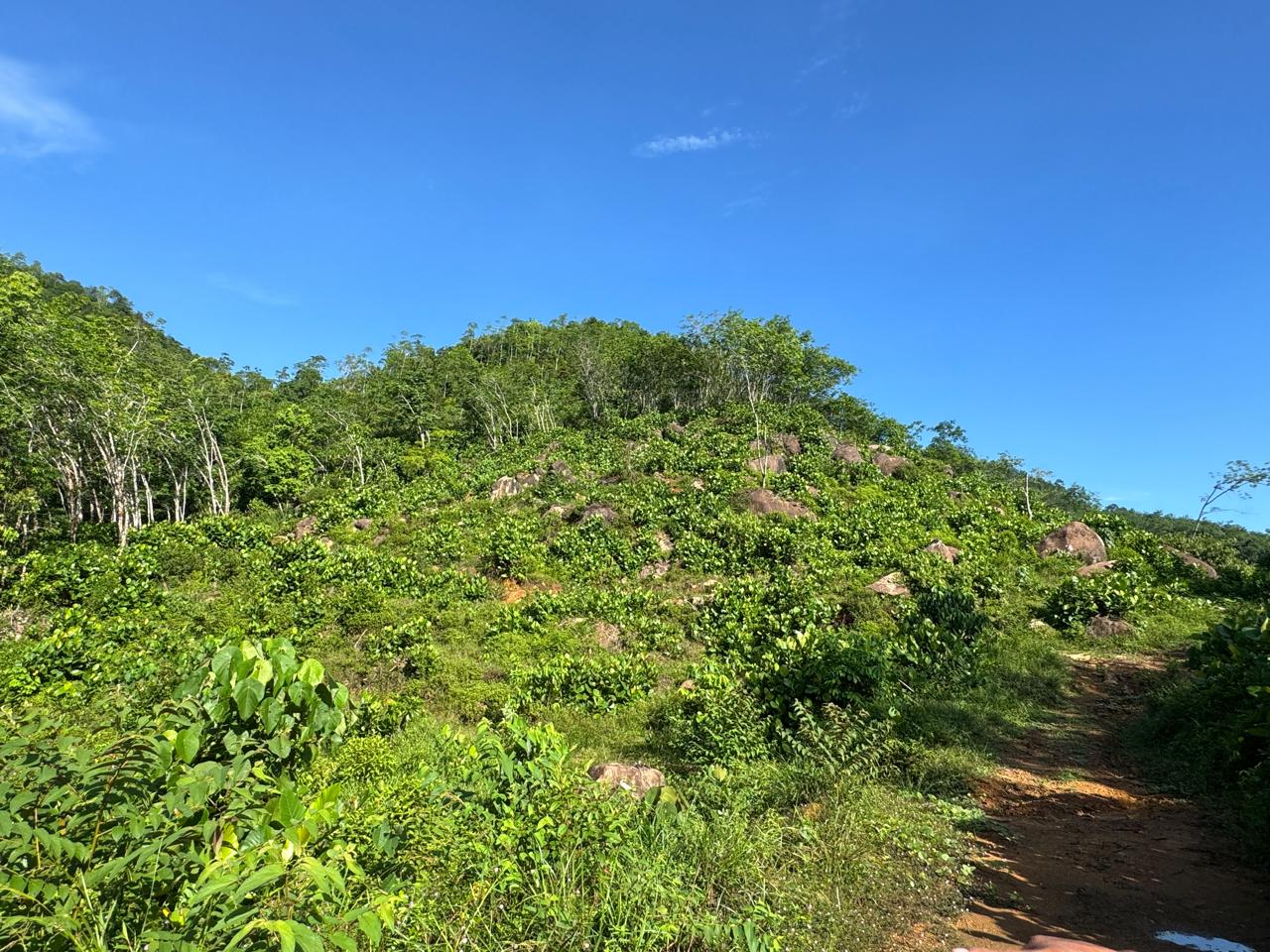 Scenic 8.5 Acre Land in Kiriella