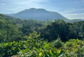 Scenic 8.5 Acre Land in Kiriella