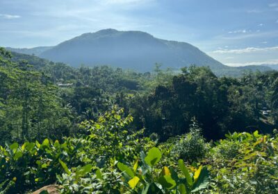 Scenic 8.5 Acre Land in Kiriella
