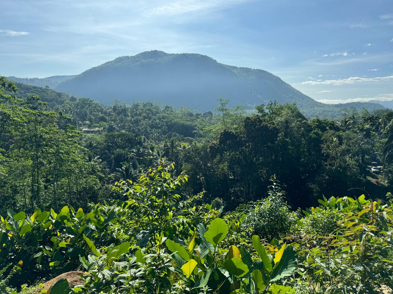 Scenic 8.5 Acre Land in Kiriella