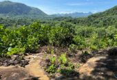 Scenic 8.5 Acre Land in Kiriella