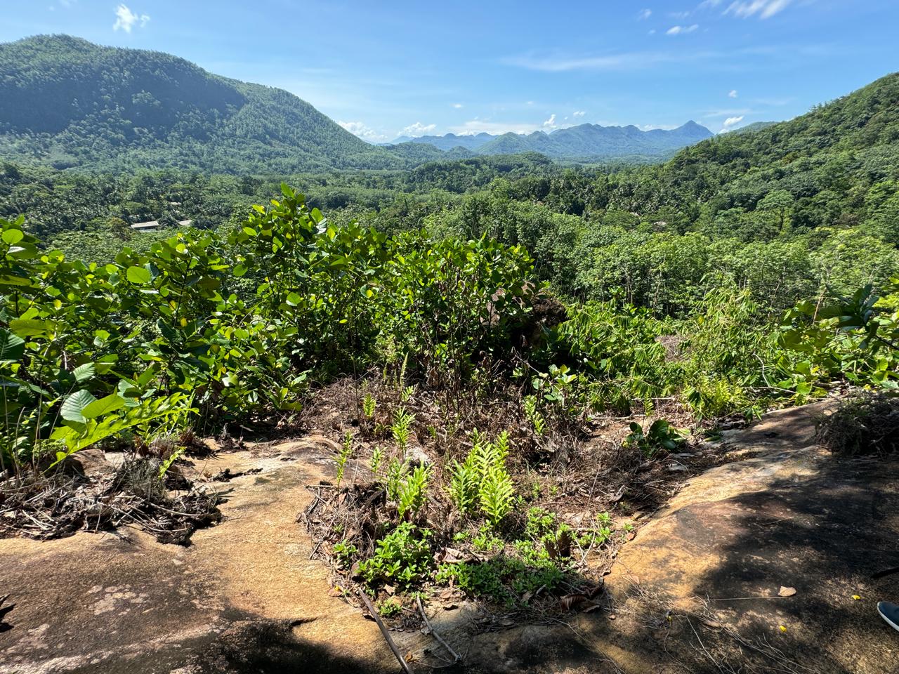 Scenic 8.5 Acre Land in Kiriella