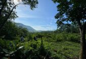 Scenic 8.5 Acre Land in Kiriella
