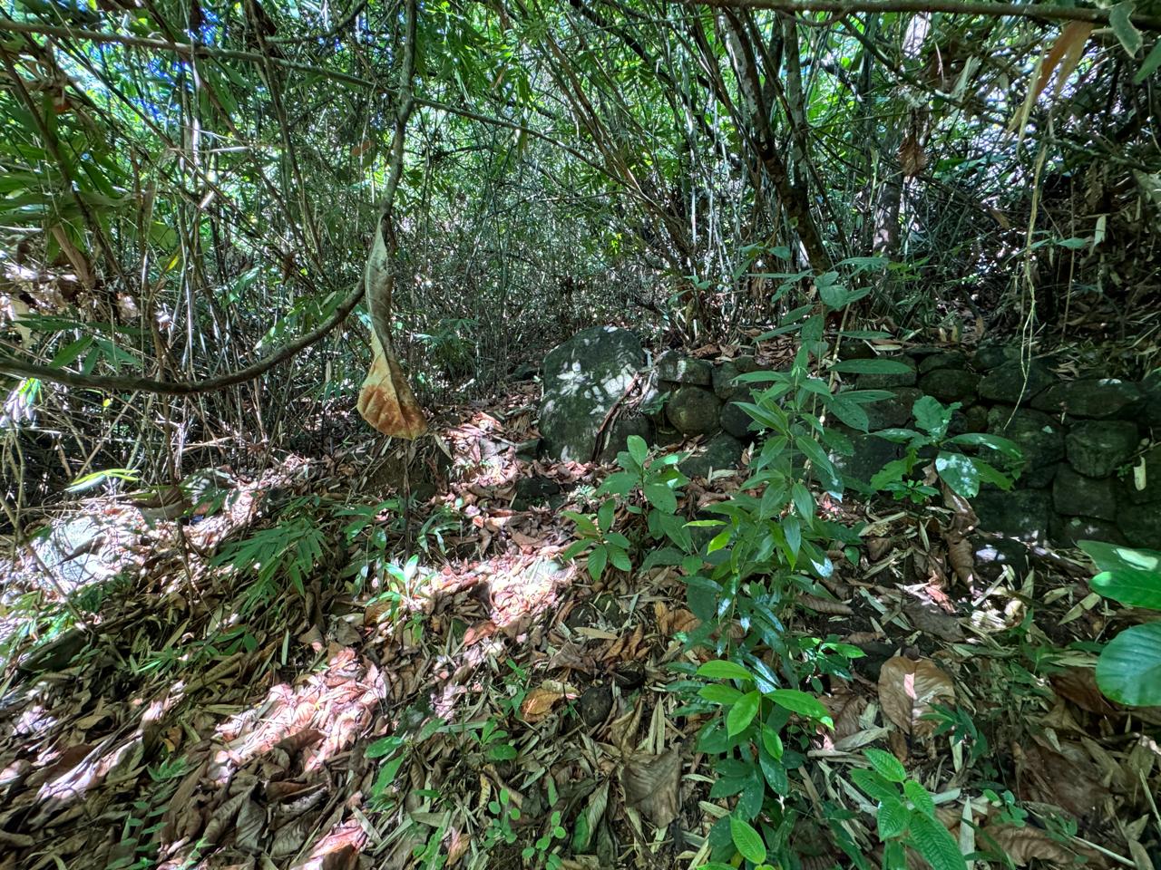 Scenic 8.5 Acre Land in Kiriella