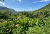 Scenic 8.5 Acre Land in Kiriella