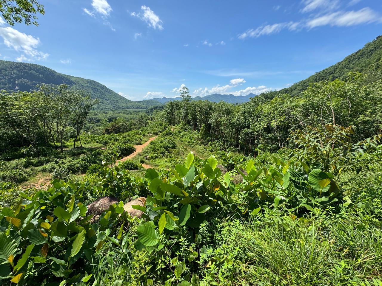 Scenic 8.5 Acre Land in Kiriella