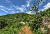 Scenic 8.5 Acre Land in Kiriella