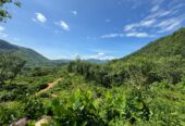 Scenic 8.5 Acre Land in Kiriella