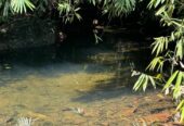 Scenic 8.5 Acre Land in Kiriella