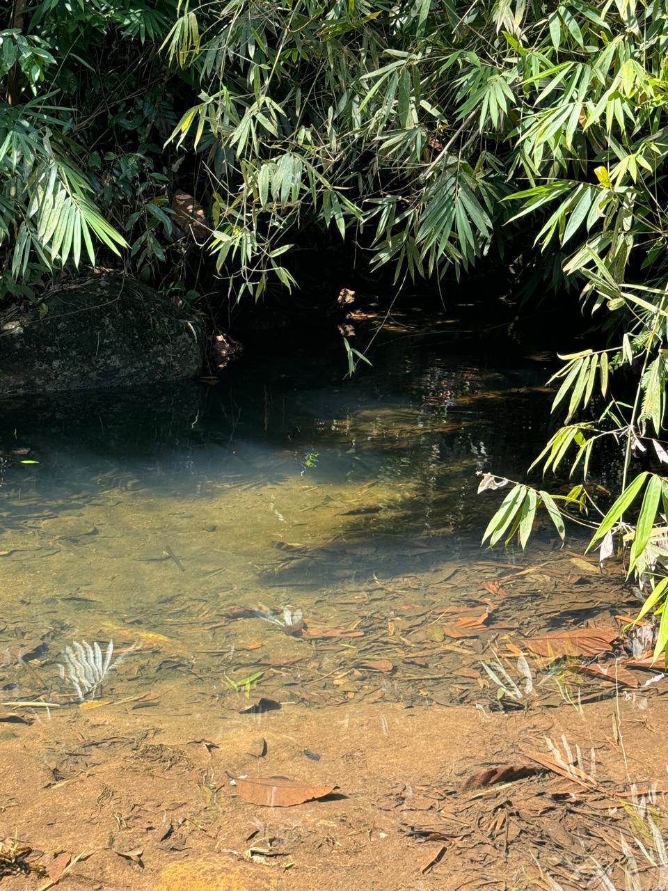 Scenic 8.5 Acre Land in Kiriella