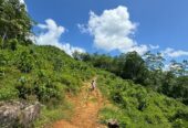 Scenic 8.5 Acre Land in Kiriella