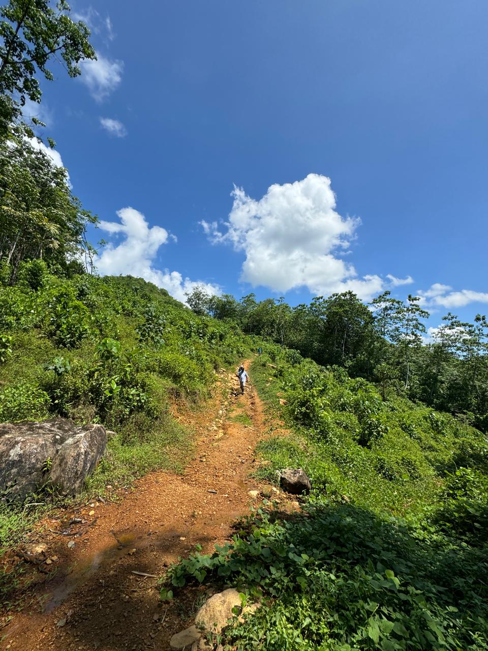 Scenic 8.5 Acre Land in Kiriella