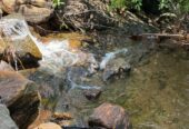 Scenic 8.5 Acre Land in Kiriella