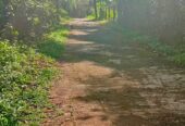 නිස්කලංක ඉඩමක් විකිණිමට – ගම්පහ