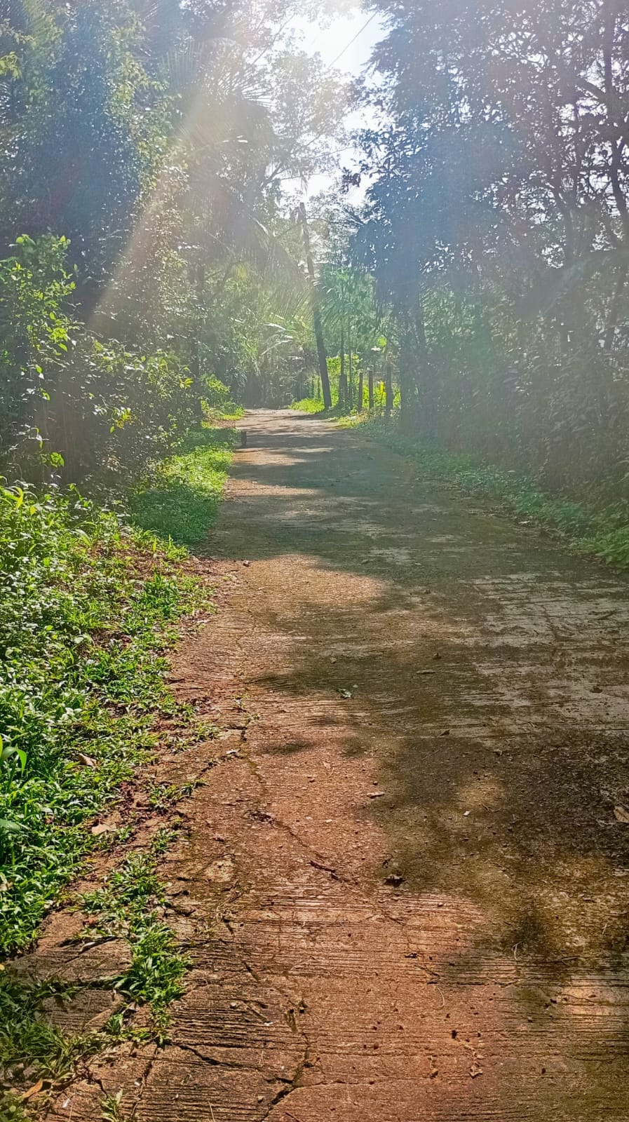 නිස්කලංක ඉඩමක් විකිණිමට – ගම්පහ