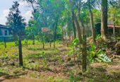 නිස්කලංක ඉඩමක් විකිණිමට – ගම්පහ