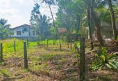 නිස්කලංක ඉඩමක් විකිණිමට – ගම්පහ