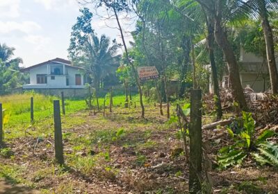 නිස්කලංක ඉඩමක් විකිණිමට – ගම්පහ
