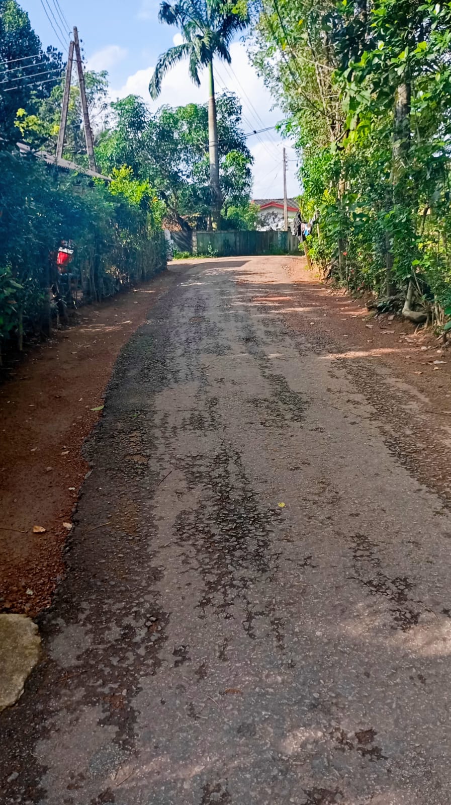 නිස්කලංක ඉඩමක් විකිණිමට – ගම්පහ