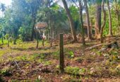 නිස්කලංක ඉඩමක් විකිණිමට – ගම්පහ
