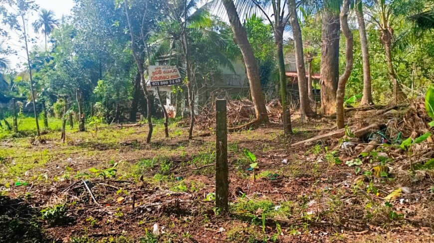 නිස්කලංක ඉඩමක් විකිණිමට – ගම්පහ